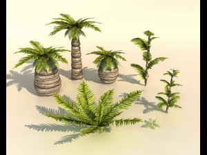 set of plant tropic palm 3D 모델