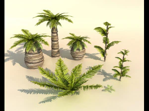set di piante di palma tropicale Modello 3D