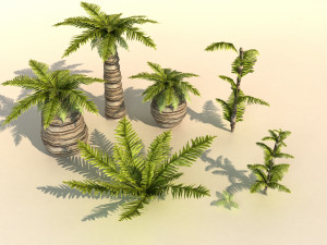 set of plant tropic palm 3D-Modell