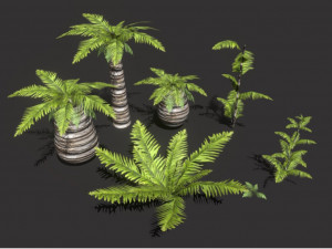 set of plant tropic palm 3D-Modell