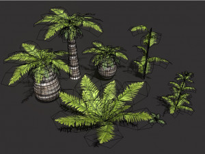 set of plant tropic palm 3D-Modell