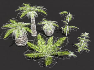 set of plant tropic palm 3D-Modell