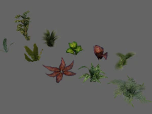 set of plant tropic 3D Model