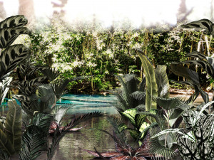 set of plant tropic 3D मॉडल