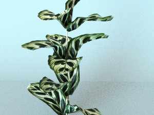 set of plant tropic 3D मॉडल
