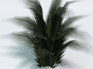 set of plant tropic 3D मॉडल