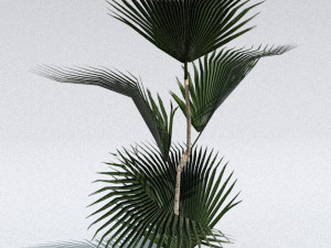 set of plant tropic 3D मॉडल