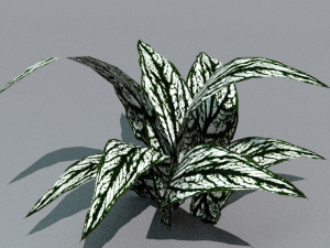 set of plant tropic 3D मॉडल