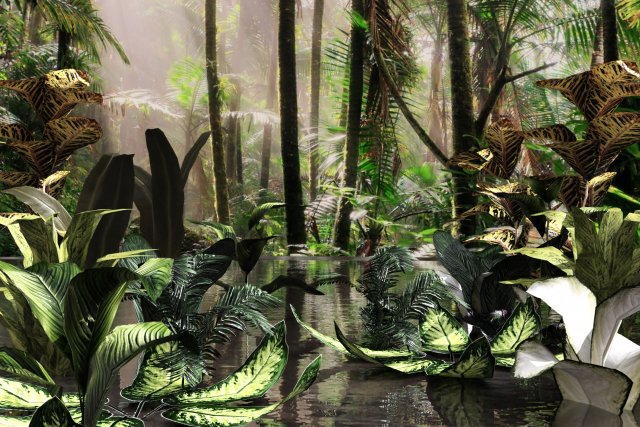 set of plant tropic Modelo 3D .c4d .max .obj .3ds .fbx .stl .blend
