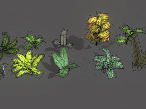 set of plant tropic Modelo 3D
