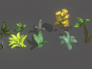 set of plant tropic Modelo 3D