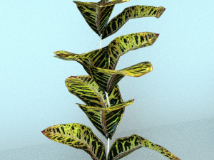 set of plant tropic Modelo 3D