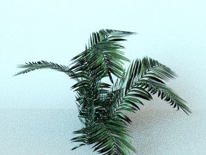 set of plant tropic Modelo 3D