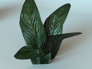 set of plant tropic Modelo 3D
