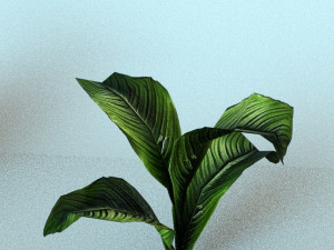 set of plant tropic Modelo 3D