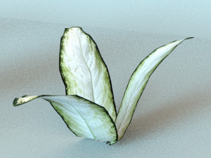 set of plant tropic Modelo 3D