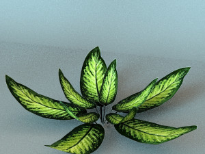 set of plant tropic Modelo 3D