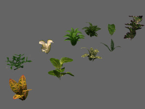 set of plant tropic Modelo 3D