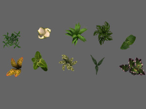 set of plant tropic Modelo 3D