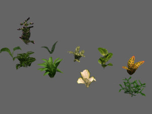 set of plant tropic Modelo 3D