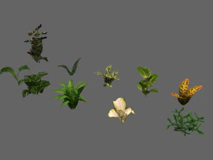 set of plant tropic 3D Model