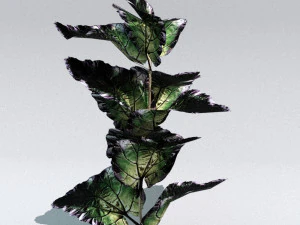 set of plant tropic 3D Model