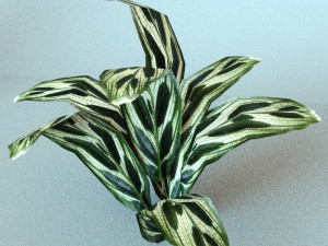 set of plant tropic Modelo 3D