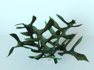set of plant tropic Modelo 3D