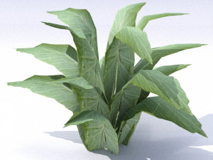 set of plant tropic Modelo 3D