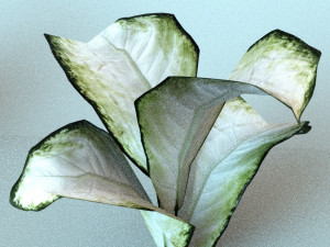 set of plant tropic Modelo 3D