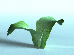 set of plant tropic Modelo 3D