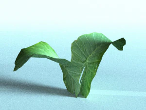 set of plant tropic 3D Model