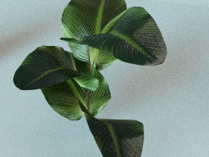 set of plant tropic Modelo 3D