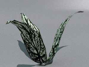 set of plant tropic Modelo 3D