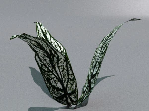 set of plant tropic 3D Model