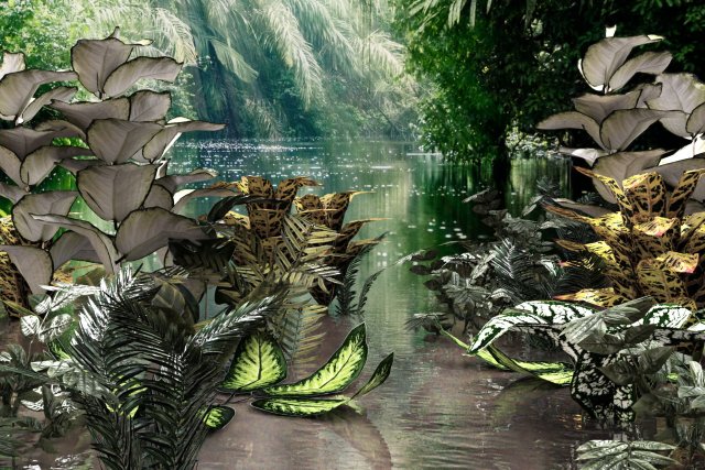 set of plant tropic 3D Modell .c4d .max .obj .3ds .fbx .stl .blend 