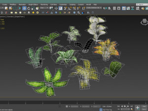 set of plant tropic 3D Modell
