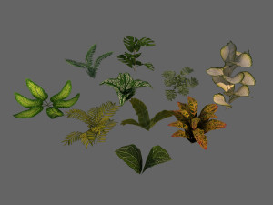 set of plant tropic 3D Modell