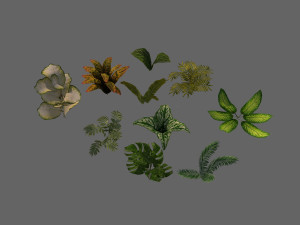set of plant tropic 3D Modell