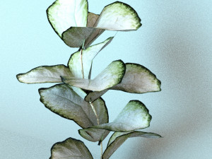 set of plant tropic 3D Modell