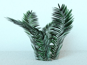 set of plant tropic 3D Modell