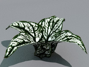 set of plant tropic 3D Modell