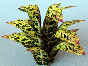 set of plant tropic 3D Modell