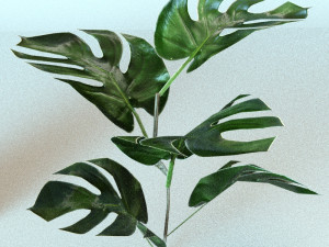 set of plant tropic 3D Modell