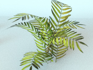 set of plant tropic 3D Modell