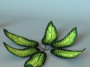 set of plant tropic 3D Modell