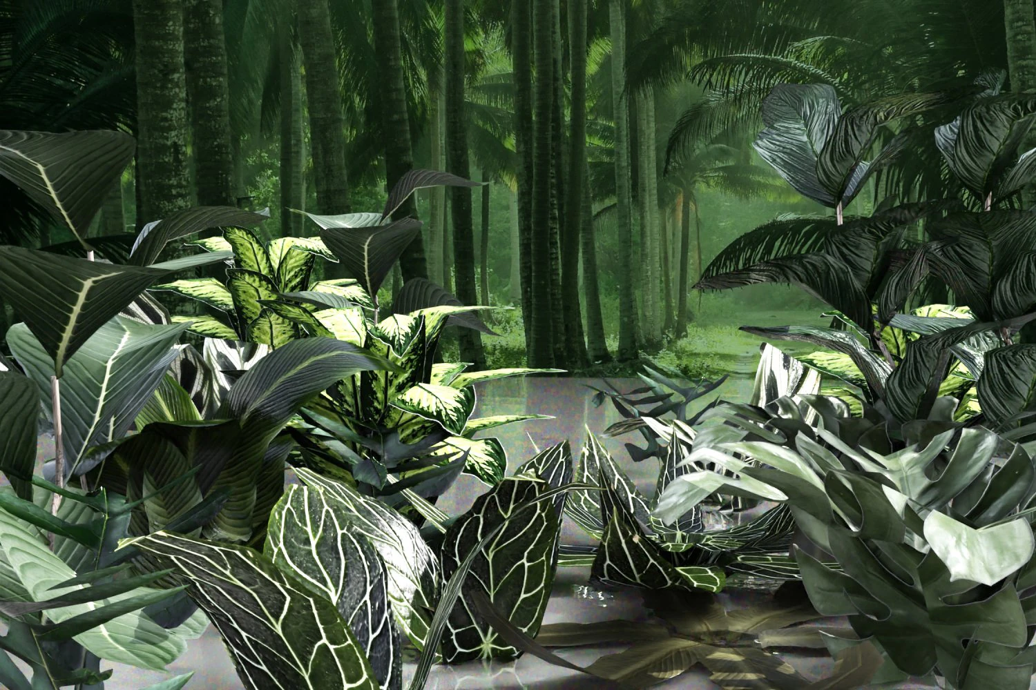 set of plant tropic 5 3D Model .c4d .max .obj .3ds .fbx .stl .blend 