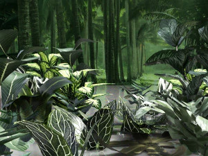 식물 열대 5 세트 3D 모델