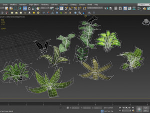 set of plant tropic 5 3D Model