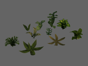 set of plant tropic 5 3D Model